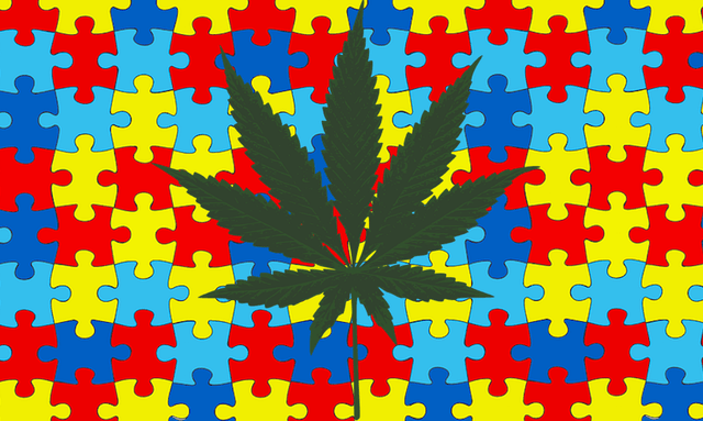 Medical Cannabis Treatment for Autism to Begin Clinical Trials